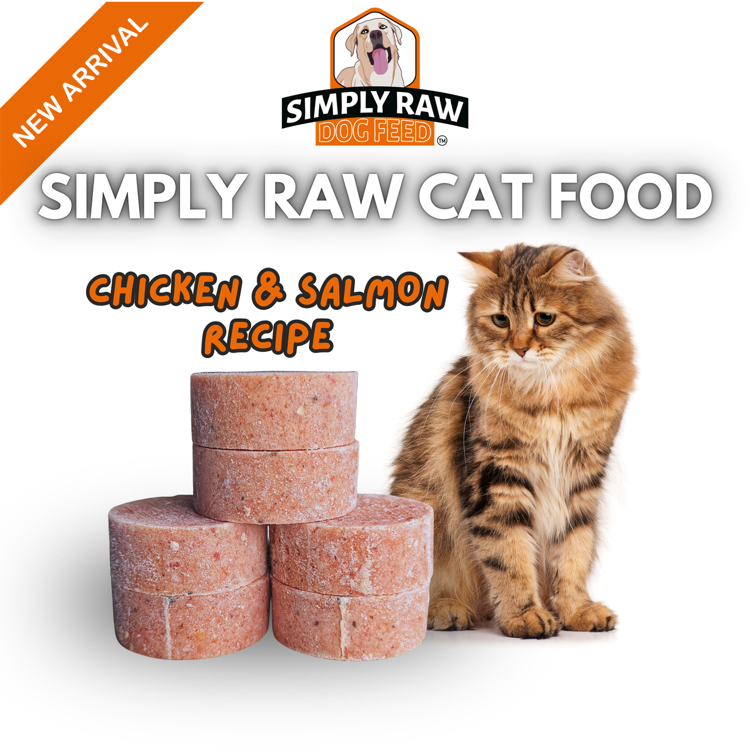 Simply Cat